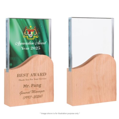 Crystal Award CY04