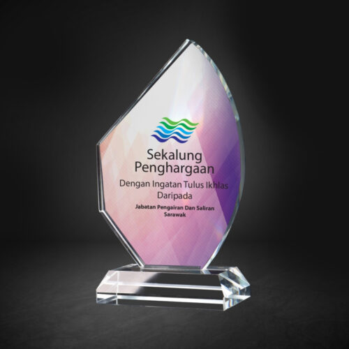 Crystal Award CY08